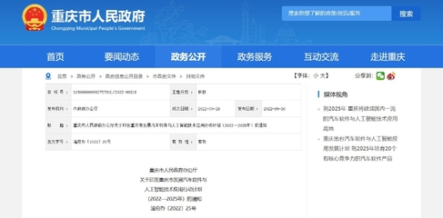 重慶信息技術咨詢服務 政府官網指引與企業創新發展的雙贏之道